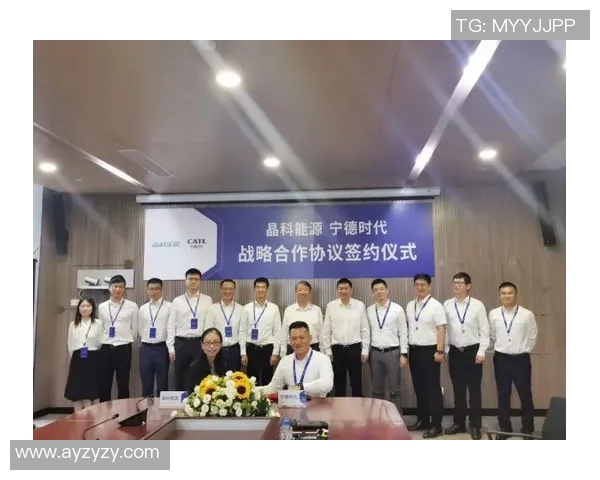 亚马尔地区的能源战略与全球市场动态的深度解析与展望